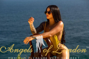 Brazilian escort Bravo in swimwear