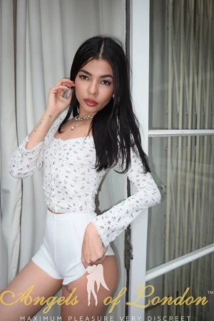 Habibi (19) London Escort