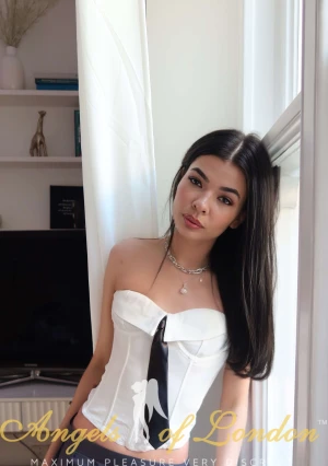 Habibi (19) London Escort