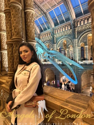 Tetty (26) London Escort