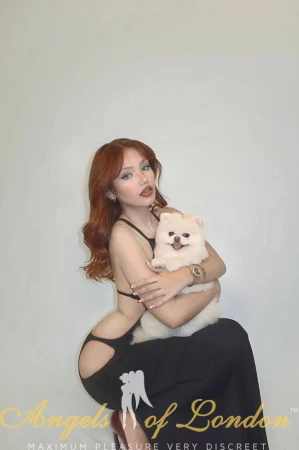 Belva (20) London Escort