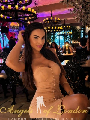 Nilou (25) London Escort