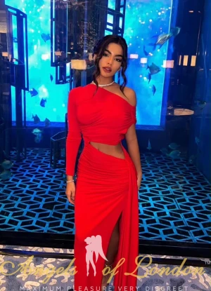 Farzana (24) London Escort