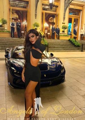 Farzana (24) London Escort