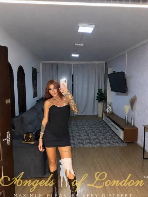 Lamour (25) London Escort