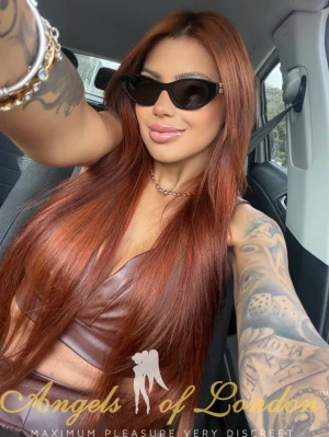 Lamour (25) London Escort